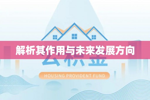 白山解析其作用与未来发展方向