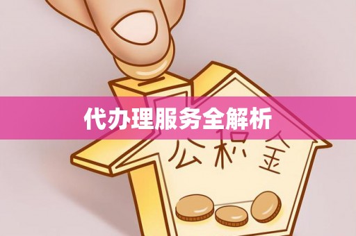 白山代办理服务全解析