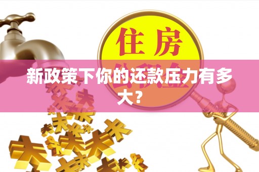 白山新政策下你的还款压力有多大？