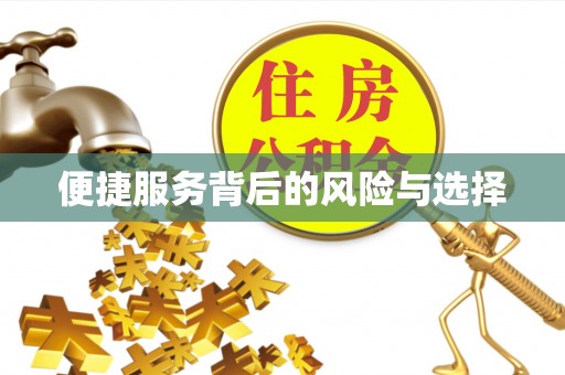 白山便捷服务背后的风险与选择
