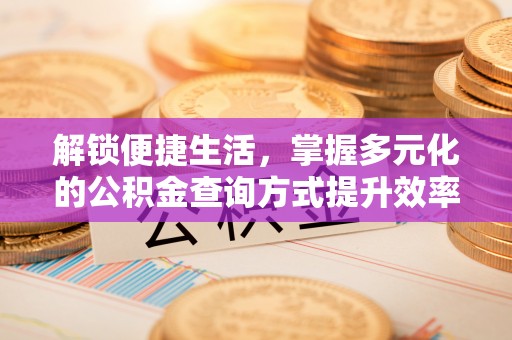 白山解锁便捷生活，掌握多元化的公积金查询方式提升效率