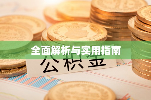 白山全面解析与实用指南