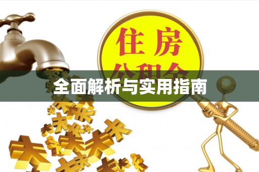 白山全面解析与实用指南