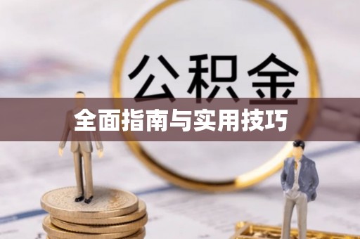 白山全面指南与实用技巧