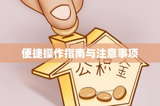 白山便捷操作指南与注意事项