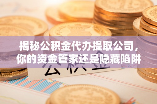 白山揭秘公积金代办提取公司，你的资金管家还是隐藏陷阱？