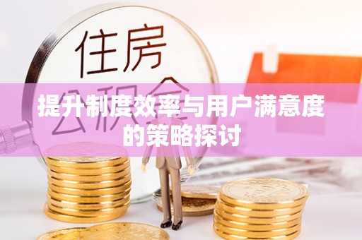 白山提升制度效率与用户满意度的策略探讨