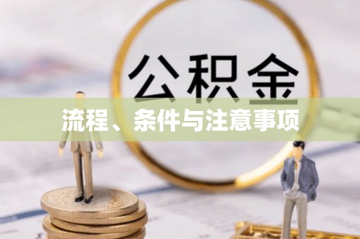白山流程、条件与注意事项