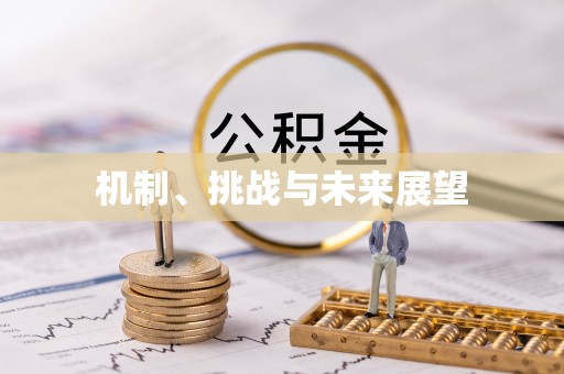 白山机制、挑战与未来展望